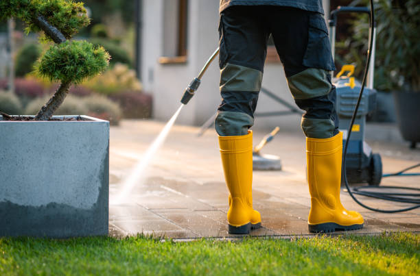 Best Residential Pressure Washing in USA